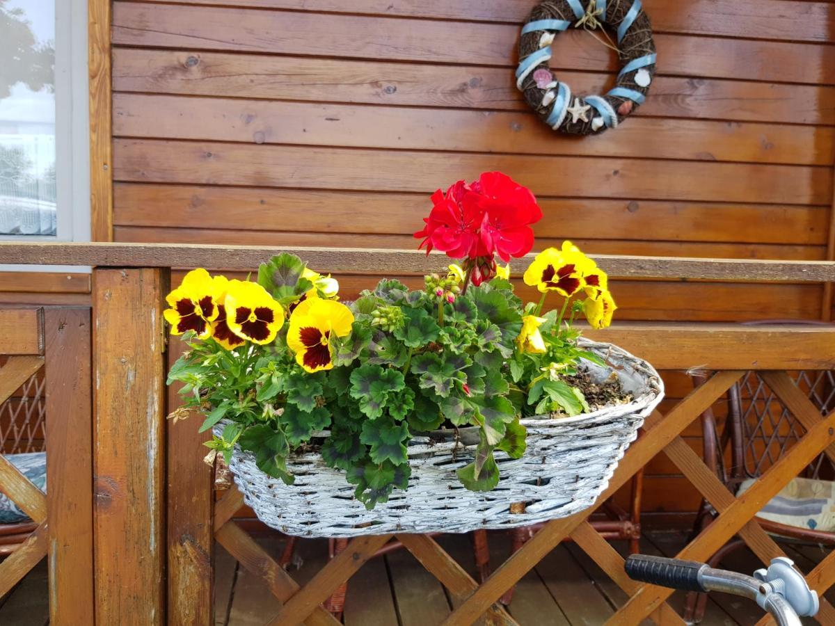 Apartment Domki Fala Family *